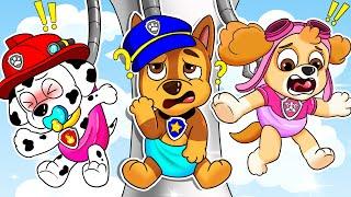 PAW Patrol The Mighty Movie | Brewing Cute Baby Factory | Very Funny Life Story | Rainbow Friends 3