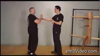 Wing Chun Vol 4 CHI SAO DVD by Samuel Kwok
