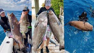 GIANT Black Groupers in the BAHAMAS on POLESPEAR - Episode 28