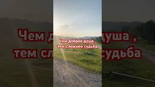 #судьба #душа #правда #цитата #мудрость #природа #