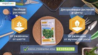 Ракурс от болезней хвойных. Инструкция и особенности применения