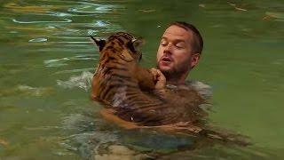 Tiger Cubs Swimming For The First Time | Tigers About The House | BBC Earth