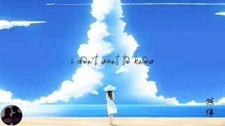 陈伟 - I Don't Want to Know "From at Dolphin Bay" (Lyric Video)