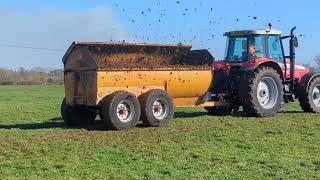 MARSTON SP10 MUCK SPREADER WORKING @ MANOR FARM