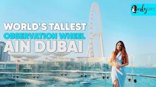 Inside Ain Dubai The World's Tallest Observation Wheel | Curly Tales UAE