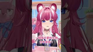 【煌Kirali】豹豹澄清自己不是矮袋鼠！ #煌 #Kirali #台灣Vtuber #新人Vtuber
