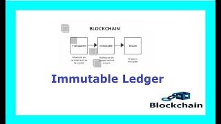 Immutable Ledger