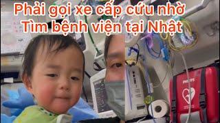 KoA bị đau.. cả nhà khóc nghẹn vì không tìm được bệnh viện tiếp nhận#kokoaki