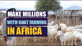 How to Make Millions with Goat Farming in Africa | Digital Boost Academy