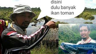 Lubuk Ikan Toman@Kumpai Angler