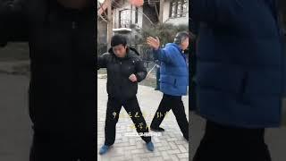 中国王志平八卦掌