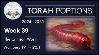 Torah Portion Week 39 - Numbers 19 - 22:1 (The Crimson WORM)  2024 - 2025