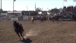 2 8 2015 2 Steer Wrestling