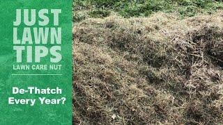 Should I DeThatch My Lawn Every Year? | Lawn Dethatching