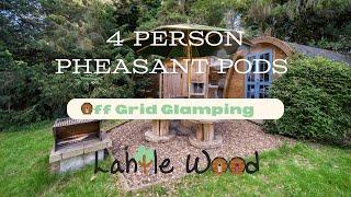 Pheasant Pod tour  - 4 person Off-grid Glamping pod in North Yorkshire