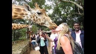 The Giraffe Center in Nairobi Kenya