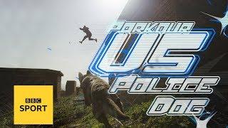 Parkour Athlete vs Police Dog: Joe Scandrett vs Kelly the police dog | Versus: Ep 4 | BBC Sport