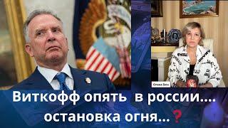 ️‍   Виткофф в россии .....  остановка огня в Украине⁉️   Елена Бюн