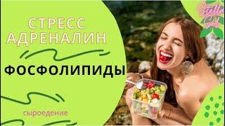 СЫРОЕДЕНИЕ.Стресс и фосфолипиды.