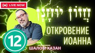 Книга Хазон Йоханан 12 глава