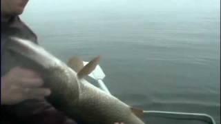 Рыбалка в СИБИРИ. Fishing in Siberia. Вертолетные туры.