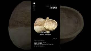 河姆渡陶灶：7000年前的‘厨房神器#中国文物 #195件中国禁止出国展览文物#河姆渡文化
