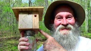 How to Make a Homemade DIY Carpenter Bee Trap