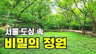 서울에 도룡농이 사는 1급수 계곡이 있다? 청정 숲길 시골 감성 | 숨은 명소까지 1석 6조 트레킹 코스 | 대중교통 당일치기 여행 | Korea Trekking