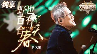 【纯享版】经典再现！罗大佑钢琴弹唱《野百合也有春天》 每个音符都是一段故事 每个旋律都是一次怀念！ #天赐的声音5 EP1 20240426