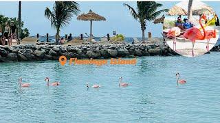 The Best Island Experience: Flamingo Island at Renaissance Resort Aruba