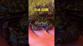 CRAB pedicure | Satisfying ASMR Sounds 