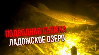 Сколько здесь щуки? подводная съемка, Ладожское озеро