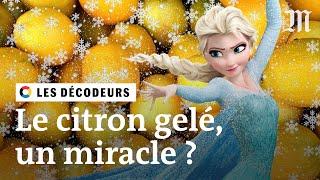 Un citron congelé peut-il guérir le cancer ? #LesDécodeurs