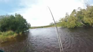 Kamchatka Fly Fishing Mousing