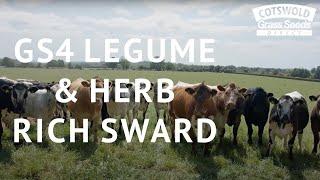 GS4 Legume & Herb Rich Sward with David Illsley