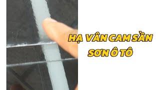 Hạ Vân Cam Sần Trên Sơn Ô Tô