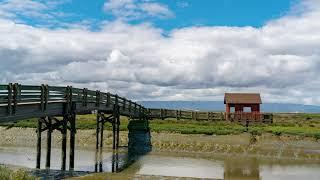 Don Edwards Wildlife Refuge TimeLapse after Rain