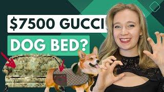 $7500 Gucci dog bed? | Luxury pet accessories