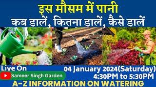 इस मौसम में कब पानी डालें, कितना डालें, कैसे डालें || A-Z Information on Watering