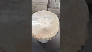 Whatsapp (+62) 878 1222 5888, PETRIFIED WOOD FOR SALE CANADA