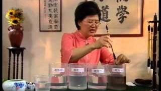 楊老師書法課室-洗筆示範.flv