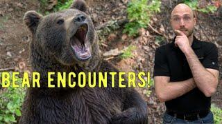 Moving to Alaska: What About Bears? Anchorage | Wasilla | Palmer