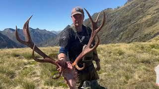 Remote Red Stags - 4 Day New Zealand Mountain Hunt