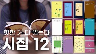 시가 두려운 당신을 위해, 베스트셀러 시집 12권 제가 먼저 읽어볼게요 | 시집 독서 브이로그