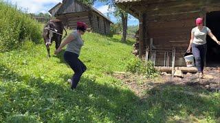 Village charm: one day of a large family in a Ukrainian mountain village