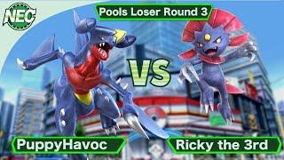 NEC2021 PuppyHavoc VS RickyThe3rd | PokkenTournament DX