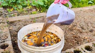 Stop using Expensive Fertilizer! Make This 100% Natural Fertilizer Booster for FREE