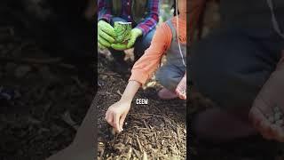 Стадии развития бизнеса: искусство правильного тайминга #monsta #бизнес