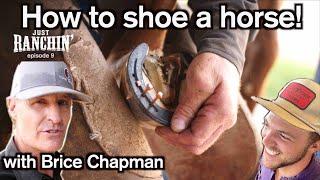 How to shoe a horse with Brice Chapman - Just Ranchin 9