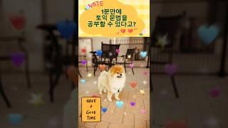 1분만에 토익 문법을 공부할 수 있다구요?#shorts#1분토익문법